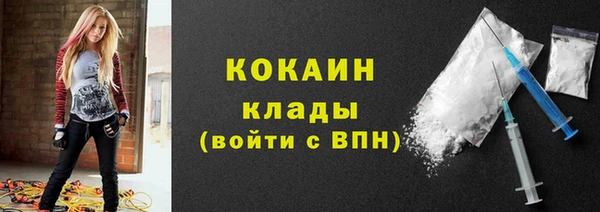хмурый Аркадак