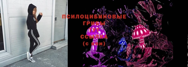 хмурый Аркадак
