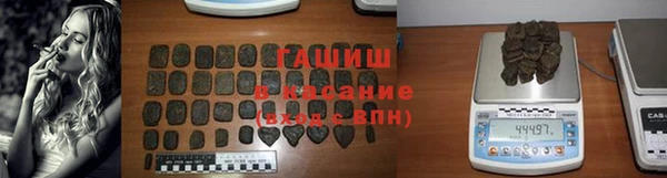 хмурый Аркадак