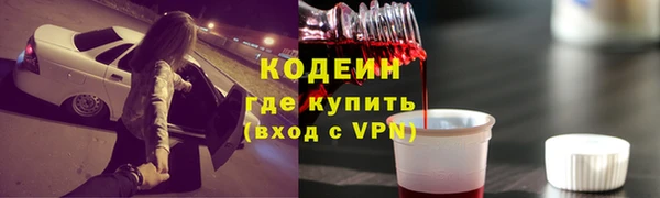 хмурый Аркадак
