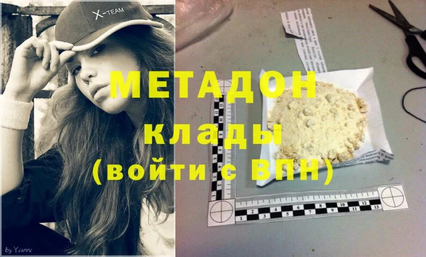 хмурый Аркадак