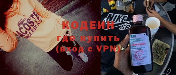 хмурый Аркадак