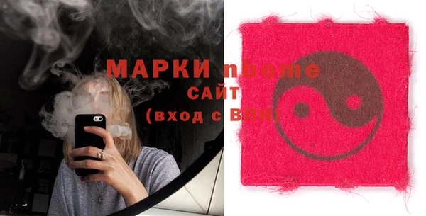 хмурый Аркадак