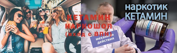 хмурый Аркадак