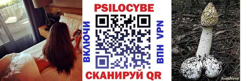 где продают   Прохладный  Псилоцибиновые грибы Cubensis 